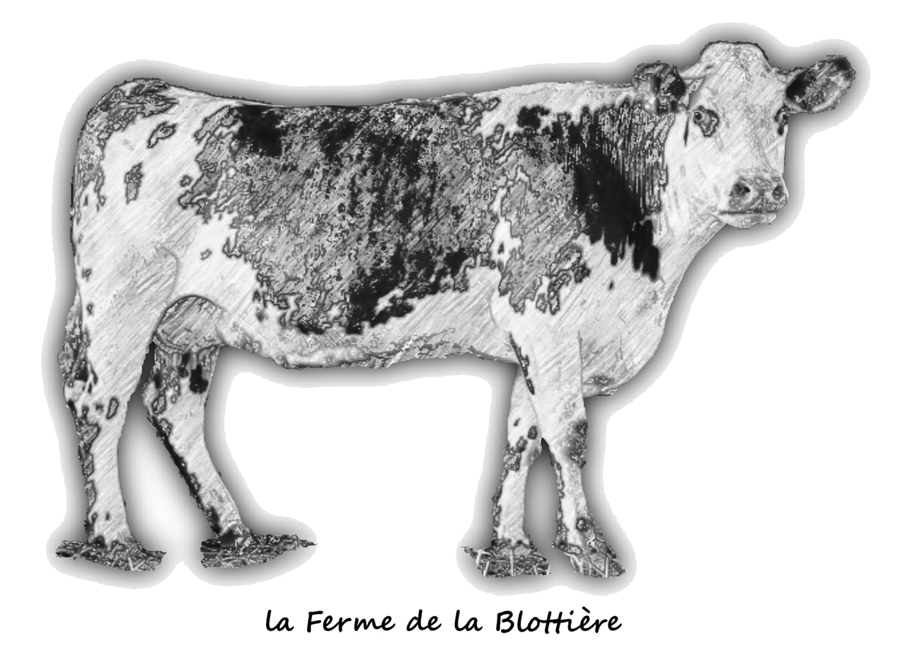 Ferme de la Blottière Champsecret